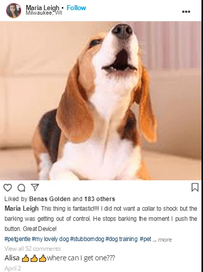 Pet Zen Pro