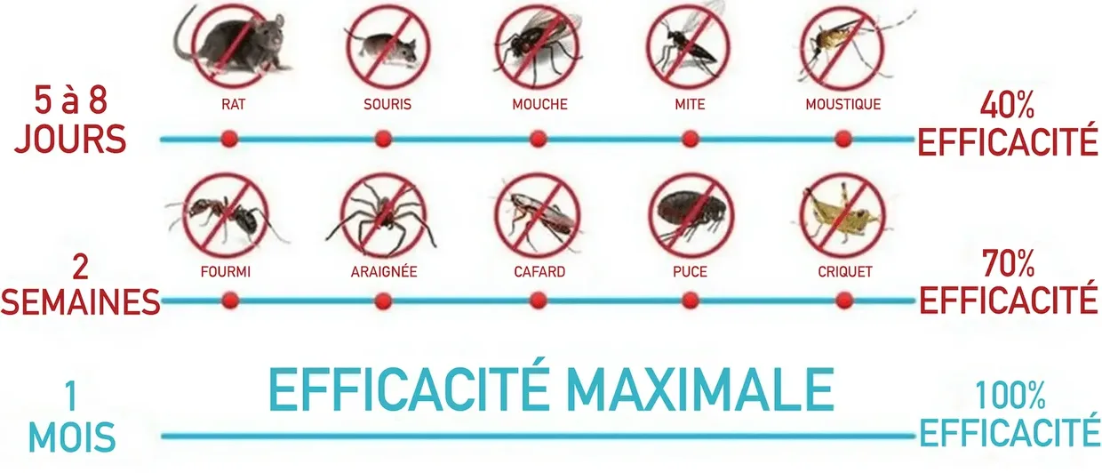 Chronologie du fonctionnement de SonicStop