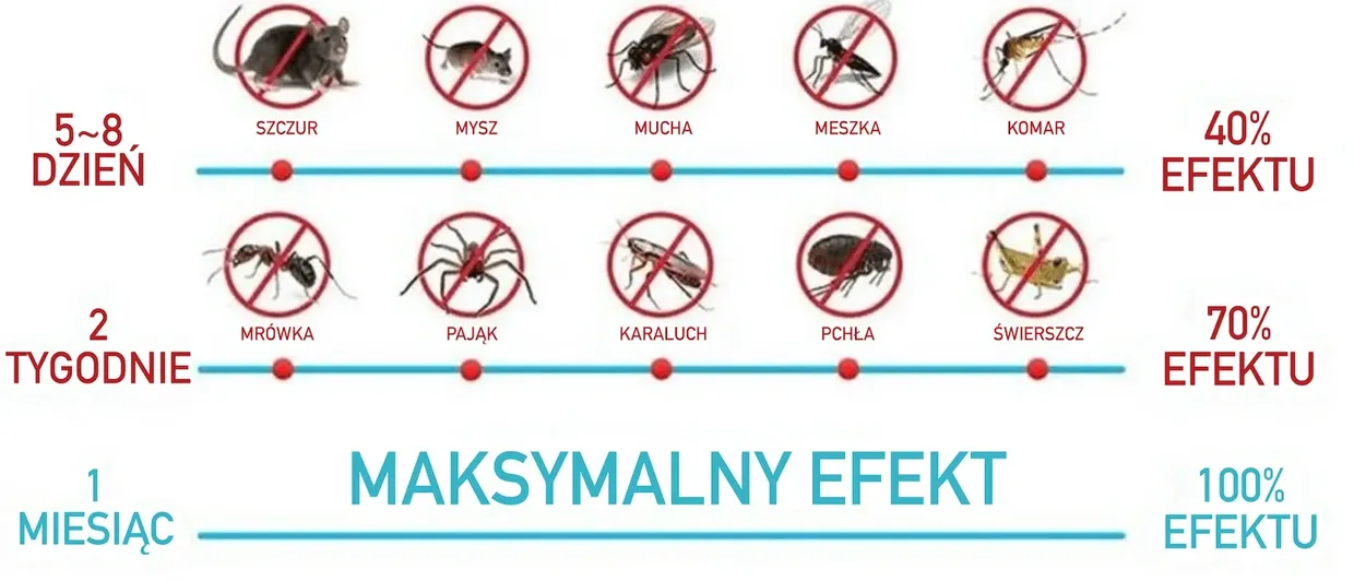 Harmonogram działania SonicStop krok po kroku w ciągu 3 tygodni